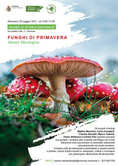 CREMONA: Mostra di funghi primaverili al Museo di Storia Naturale