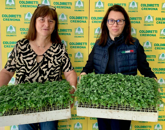 Orti nelle Carceri: 600 pianticelle di pomodoro da Coldiretti Cremona