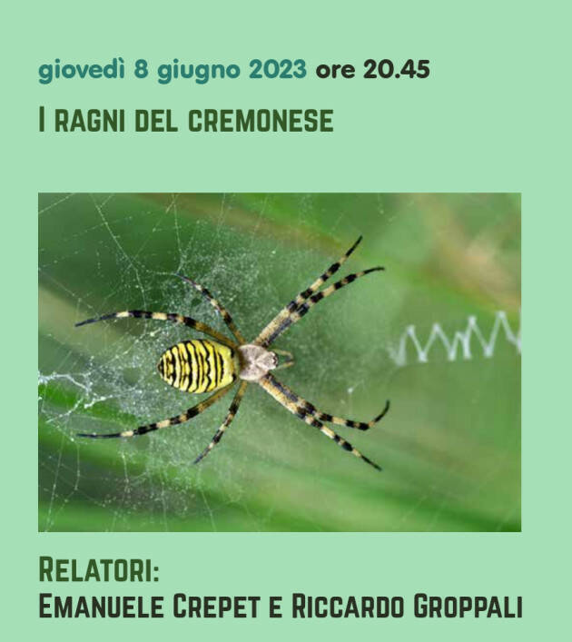 (CR) I ragni del cremonese- giovedì 8 giugno al Museo di Storia Naturale