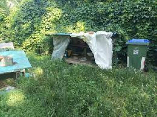 Cremona, Rea: Basta inefficienze. Sindaco sistemi colonia felina in luogo sicuro