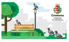  Come contenere i colombi di città? Le azioni del Comune di Cremona