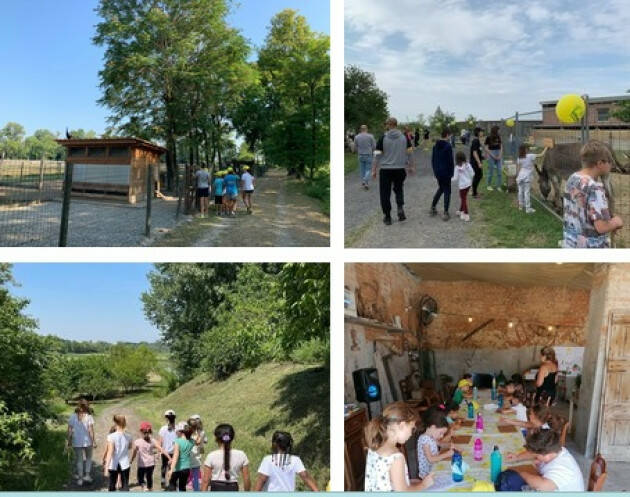 Coldiretti Centri estivi in fattoria didattica, boom di adesioni