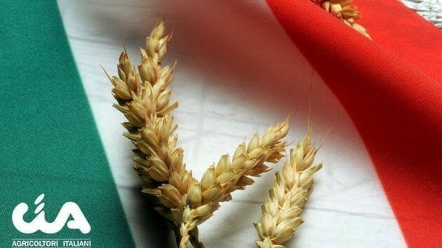 Firma Petizione Grano: raggiunto il traguardo 50 mila firme per la petizione Cia