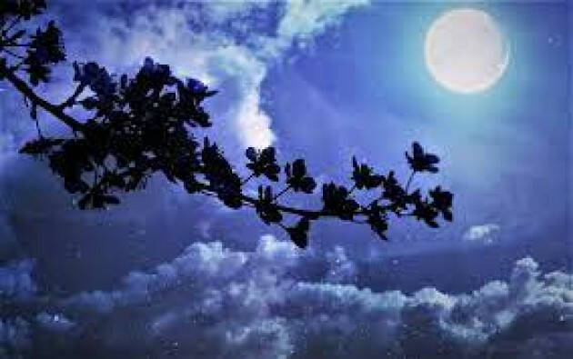 Notti d'estate: 10 esperienze uniche da vivere al chiaro di luna