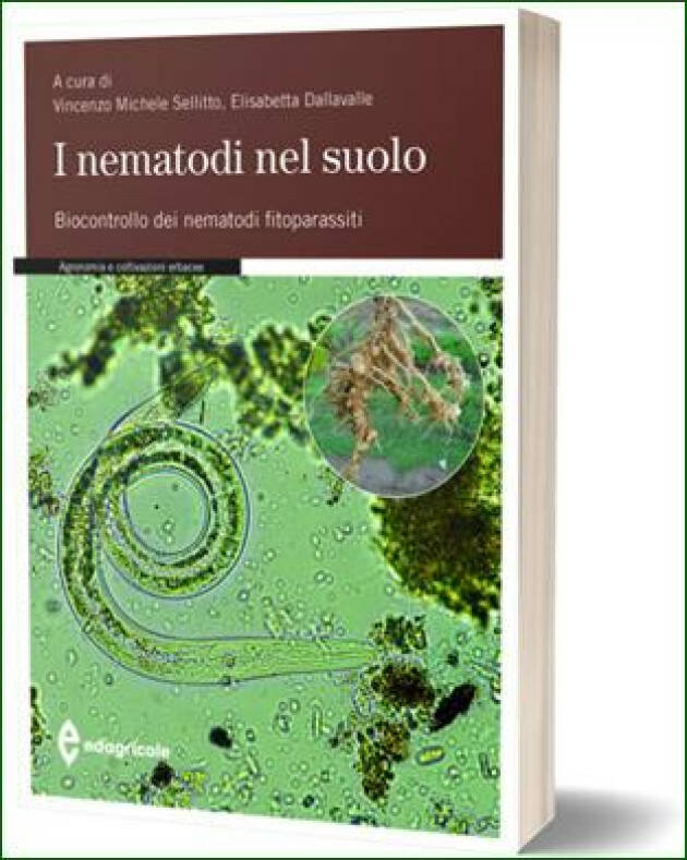 Edagricole I NEMATODI NEL SUOLO 