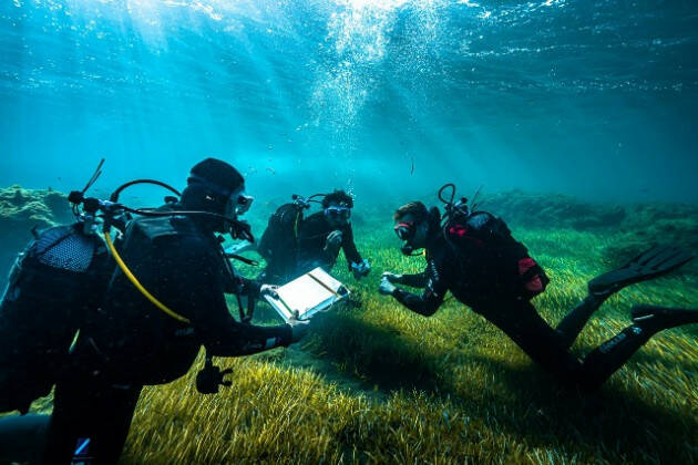 Scoperto sull’isola di Vulcano un batterio che assorbe l’anidride carbonica