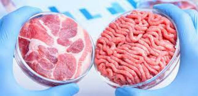 CIA Carne coltivata: ecco il vero impatto sull'ambiente e sulla salute dei consumatori