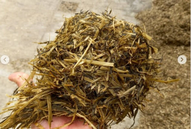 Consorzio Agrario Cremona FOCUS SERVIZIO ZOOTECNICO