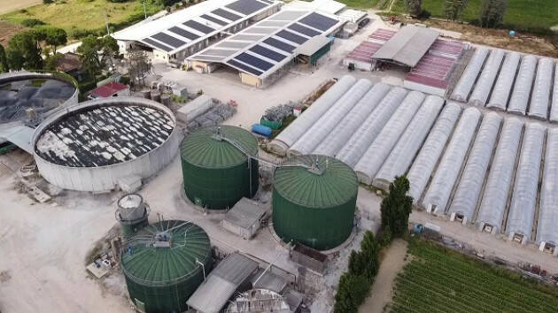 BIGSQUID Dal biogas al Biometanolo Alternativa al Biometano?