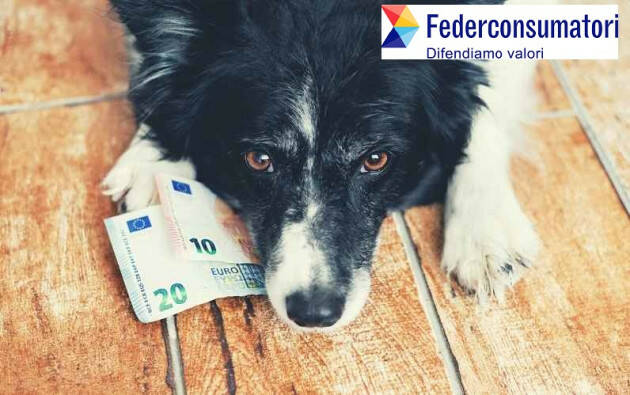 Federconsumatori ..Non abbandonate e vostri cani 