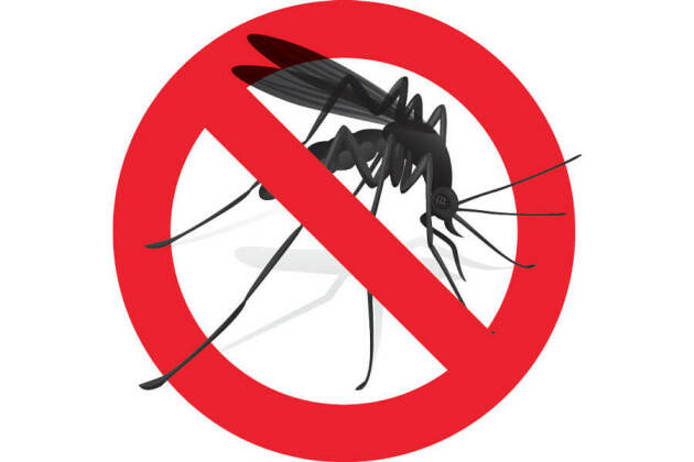 (CR) Prosegue la campagna di disinfestazione delle zanzare