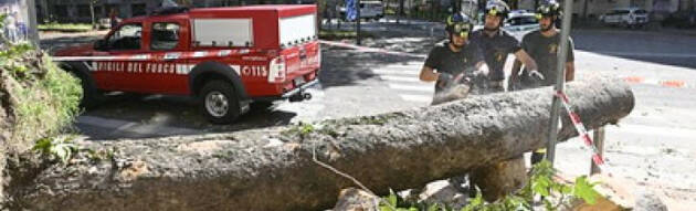 Milano  PARTECIPAZIONE. È ONLINE ‘INSIEME PER IL VERDE’ 