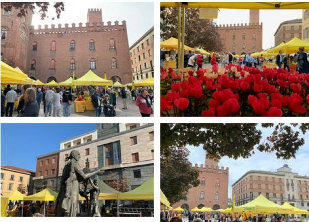 Campagna Amica domenica in piazza Stradivari a Cremona