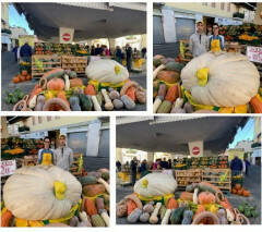 Crema, grande partecipazione alla “Festa della zucca” al Mercato di Campagna Amica
