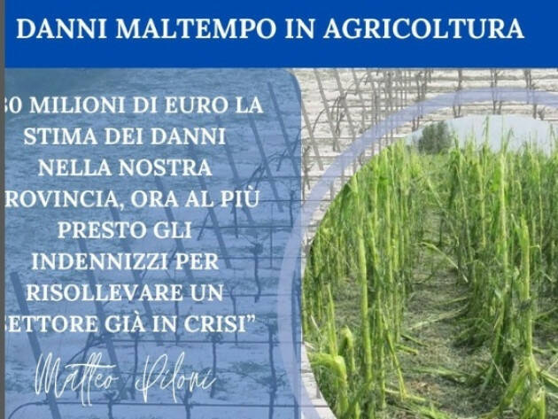 MALTEMPO AGRICOLTURA, PILONI (PD): “30 MILIONI DI EURO LA STIMA DEI DANNI 
