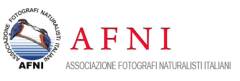 Al Museo di Storia Naturale di Cremona 15  fotografi in mostra