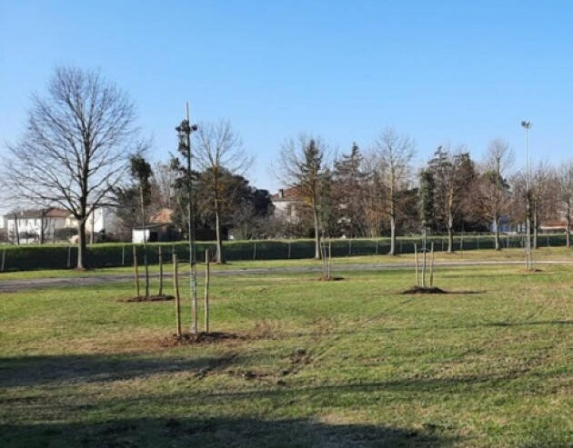 Lecco Cura del verde, 100 nuove piante entro la primavera