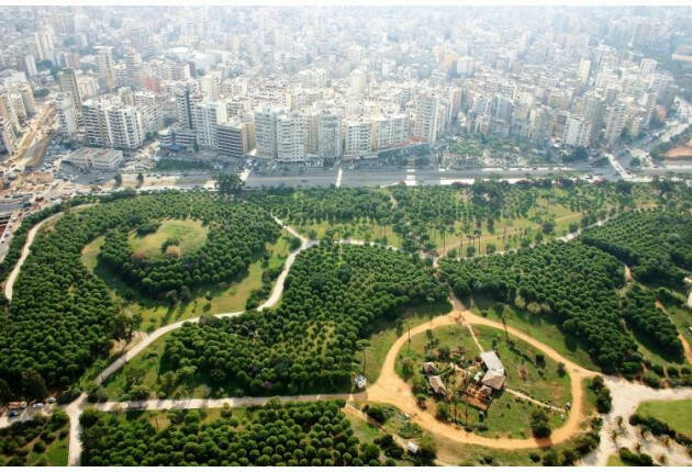 Legambiente Ogni foresta in più è per la qualità della vita