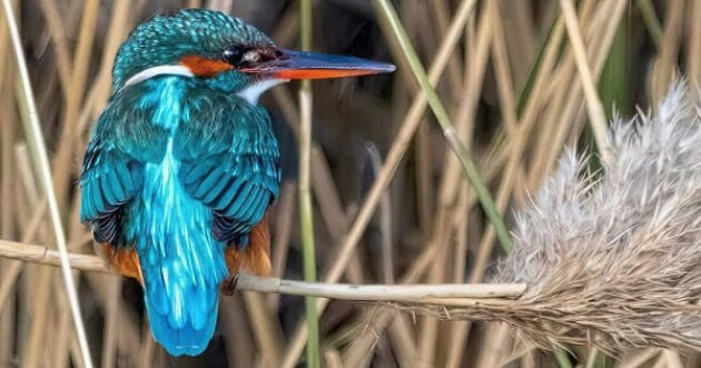 Firma Petizione NO a Fiumi di cemento in Grecia |WeMove Europe