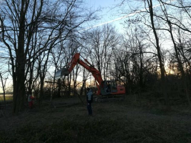 Legambiente Cremona denuncia il taglio indiscriminato di alberi nella ex Polveriera 