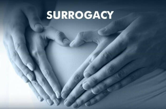 Cremona Incontro su Diritti,famiglie e genitorialità 