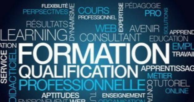 Formazione ed economia in provincia di Cremona