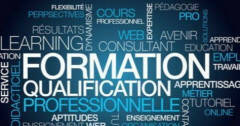 Formazione ed economia in provincia di Cremona