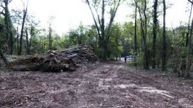 Ex Polveriera di Cremona, lo stato dell’arte. No taglio indiscriminato