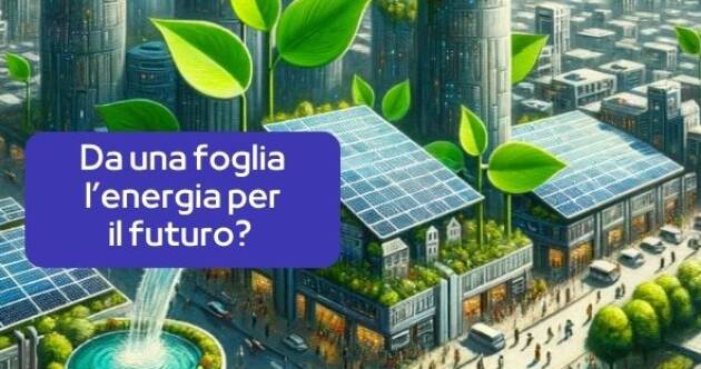 Rivoluzione nel fotovoltaico: Da una foglia l'energia del futuro?