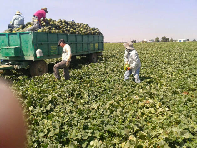 (CR) Pianeta Migranti. ‘DESIDERI’ mostra fotografica di giovani immigrati locali