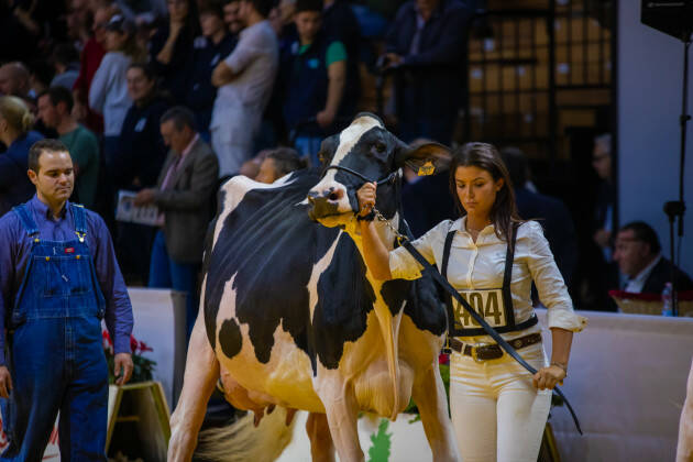 Fiere Zootecniche 2023: Vieni a scoprire L' Agora' Cremona