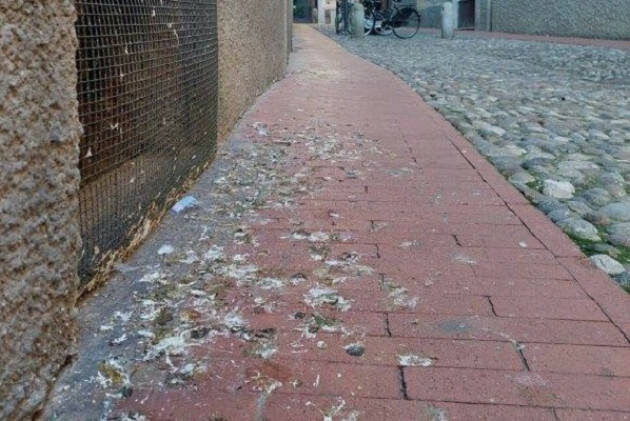 CREMONA, AUMENTA L’IMPEGNO DI LINEA GESTIONI PER LA PULIZIA DELLA CITTÀ