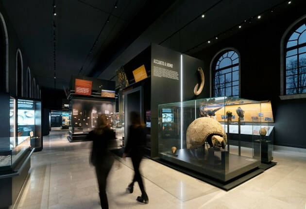 MILANO MUSEO DI STORIA NATURALE. APRE LA NUOVA SALA SULLA STORIA DELL’EVOLUZIONE UMANA