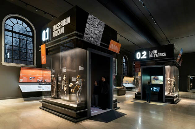 MILANO MUSEO DI STORIA NATURALE. APRE LA NUOVA SALA SULLA STORIA DELL’EVOLUZIONE UMANA