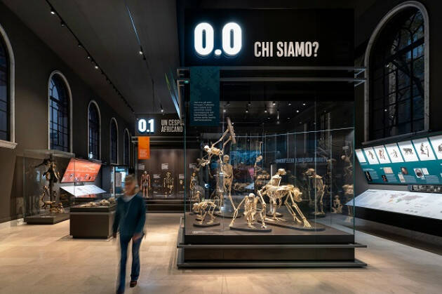MILANO MUSEO DI STORIA NATURALE. APRE LA NUOVA SALA SULLA STORIA DELL’EVOLUZIONE UMANA