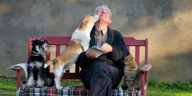 Il Fondo spese veterinarie è una svolta in particolare per gli anziani