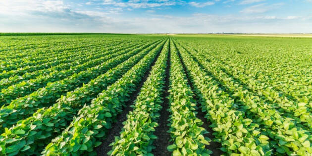 (CR) SOTTOSCRIZIONE DELLA NUOVA CONVENZIONE IN AMBITO AGRI FOOD