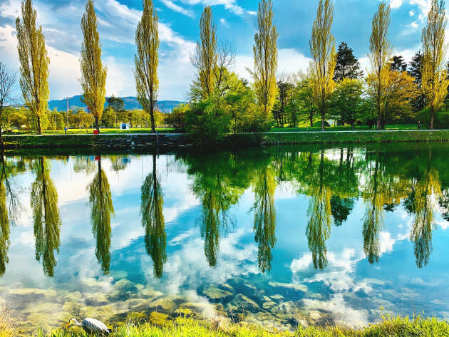 Lega Ambiente (CR) Rinaturazione del fiume Po si tutelano solo i pioppicoltori