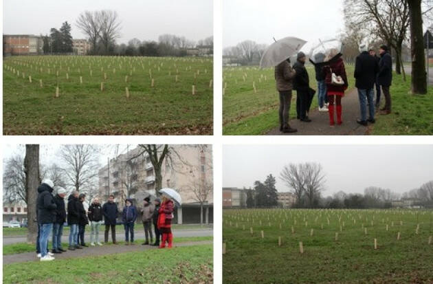 (Cremona) Con 800 essenze è pronto il Bosco dei Nuovi nati al Cambonino