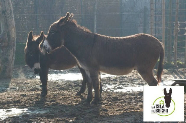 Arci Soresina  raccolta monetine per i volontari de la Isla de burro di Zanengo