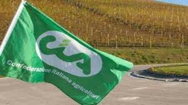 Ue: Cia, presentato manifesto elezioni 2024. Serve piano strategico agricoltura