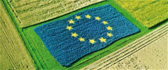 Cia Lomb, bene Consiglio europeo su semplificazione, giusto prezzo e aiuti di Stato