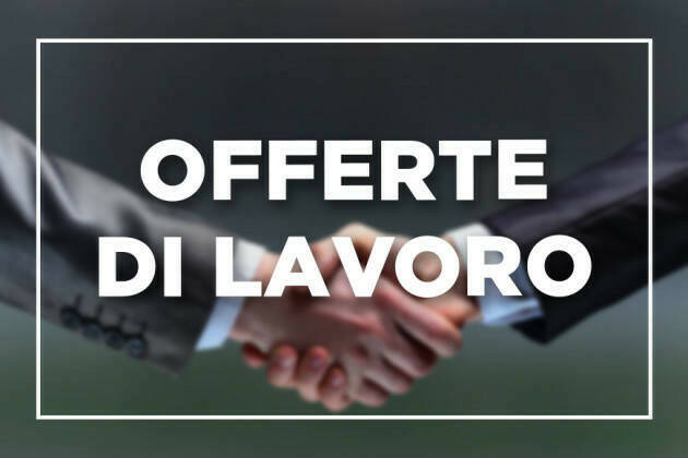 Attive 243 offerte lavoro CPI 26/03/2024 Cremona,Crema,Soresina e Casal.ggiore