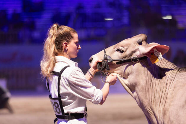 VERSO  FIERE ZOOTECNICHE INTERNAZIONALI 2024:CREMONA DAL 28 AL 30 NOVEMBRE 2024