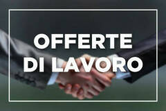 Attive 203 offerte lavoro CPI 02/04/2024 Cremona,Crema,Soresina e Casal.ggiore