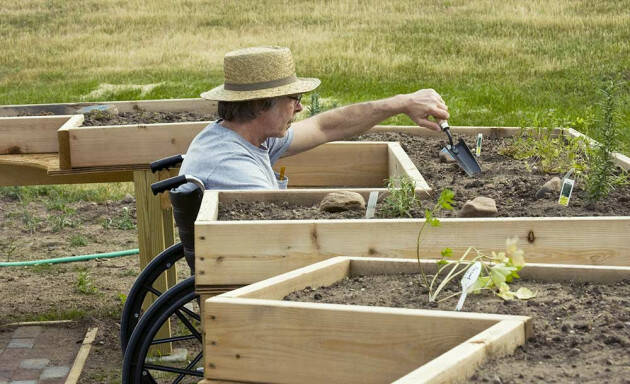 Anziani Lombardia L’ortoterapia diventa legge