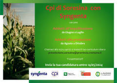 Attive 282 offerte lavoro CPI 23/04/2024 Cremona,Crema,Soresina e Casal.ggiore