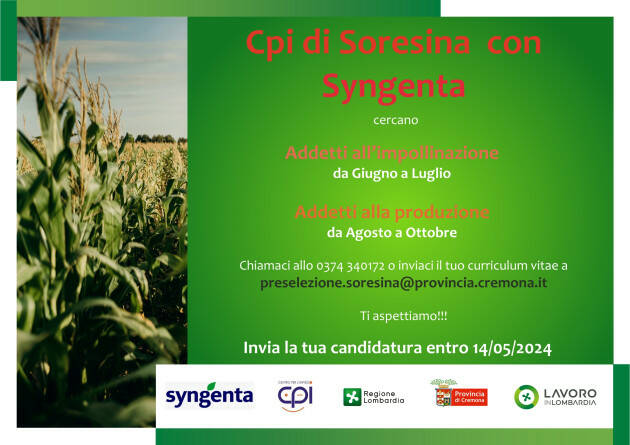 Attive 275 offerte lavoro CPI 30/04/2024 Cremona,Crema,Soresina e Casal.ggiore