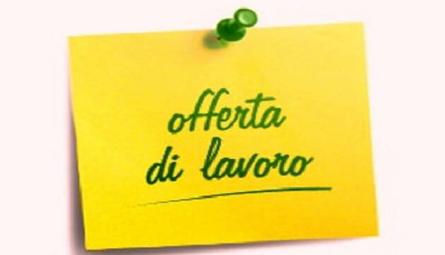 Attive 276 offerte lavoro CPI 27/05/2024 Cremona,Crema,Soresina e Casal.ggiore 
