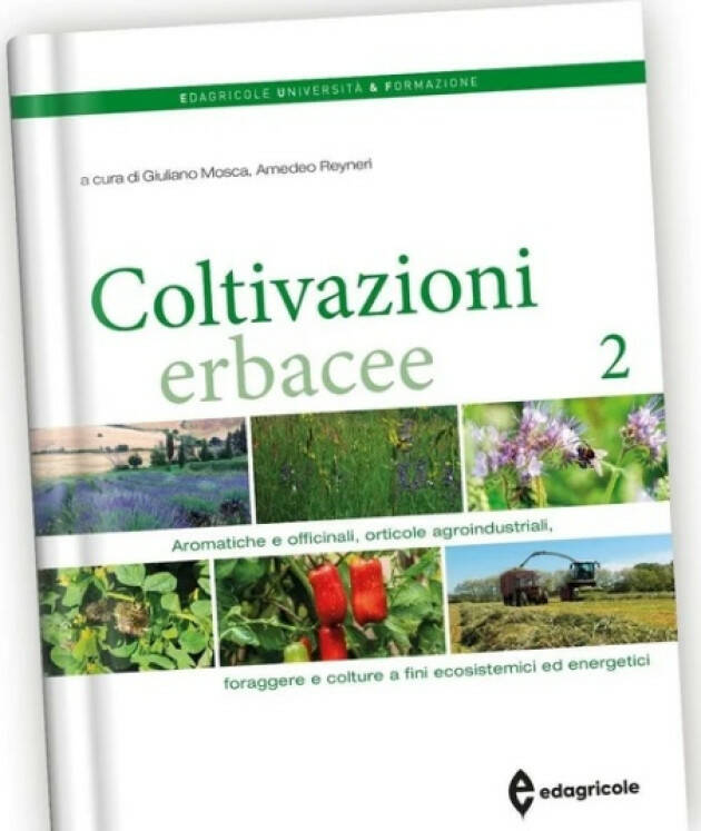 Edagricole COLTIVAZIONI ERBACEE 2